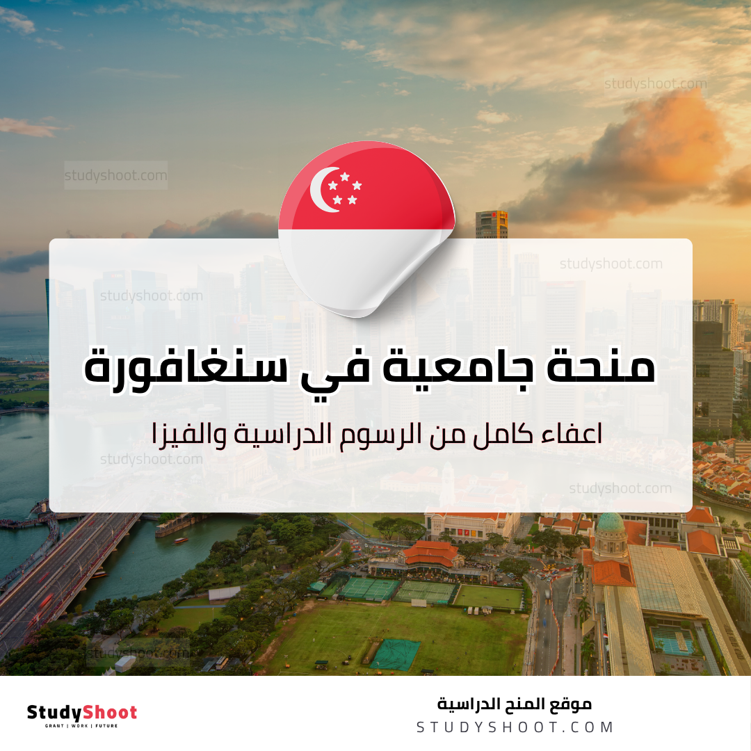 منحة جامعة سنغافورة للإدارة