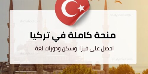 منحة جامعة ألتن باش