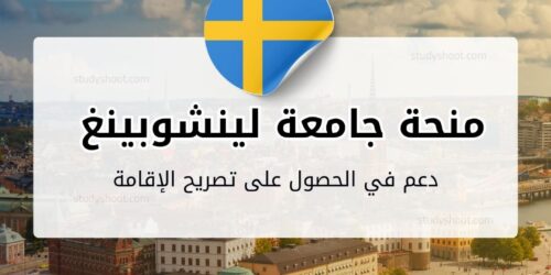 منحة جامعة لينشوبينغ