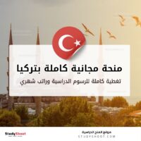 منحة جامعة يلدز التقنية