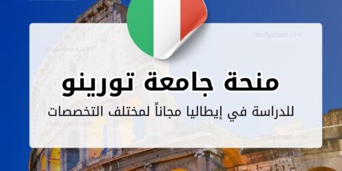 منحة جامعة تورينو