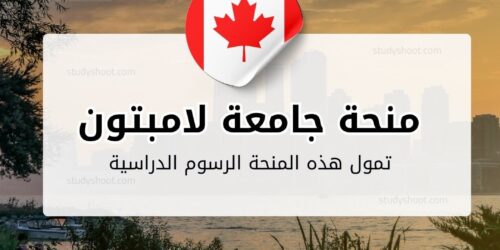 منحة جامعة لامبتون