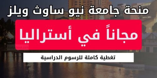 منحة جامعة نيو ساوث ويلز