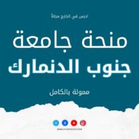 منحة جامعة جنوب الدنمارك