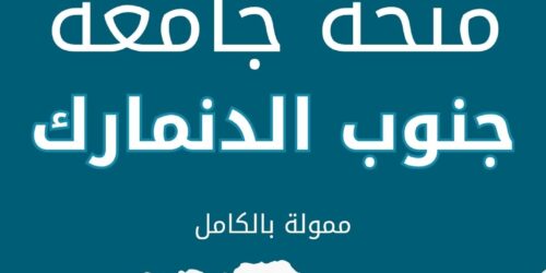 منحة جامعة جنوب الدنمارك