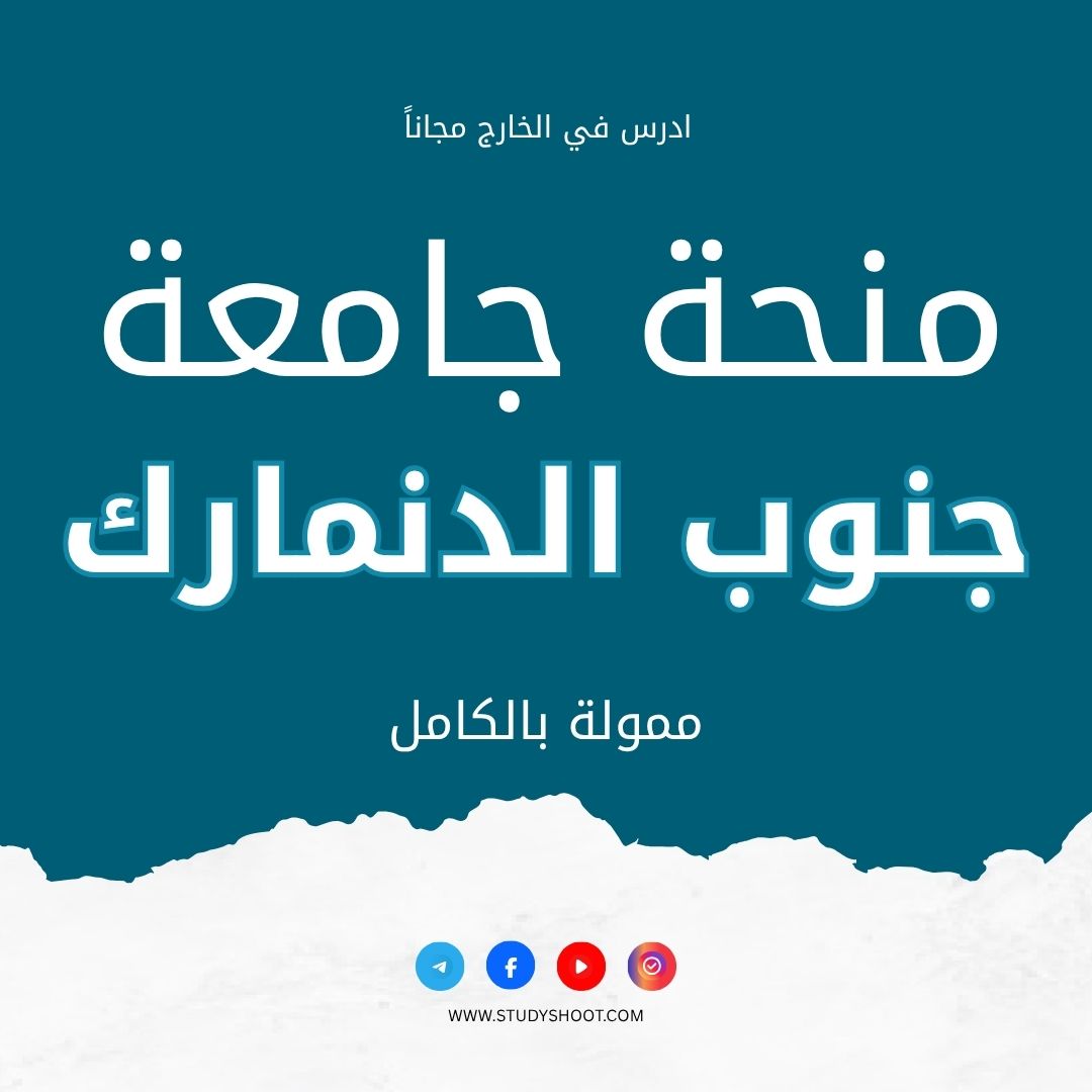 منحة جامعة جنوب الدنمارك