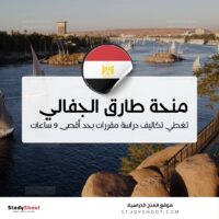 منحة طارق الجفالي