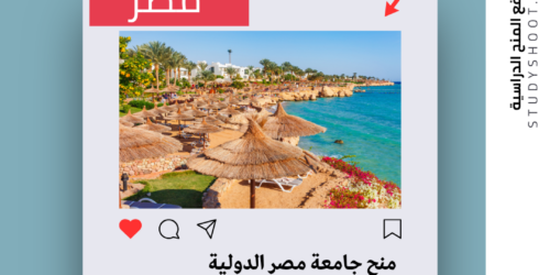 منح جامعة مصر الدولية