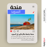 منحة جامعة مالاردالين في السويد