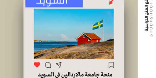منحة جامعة مالاردالين في السويد