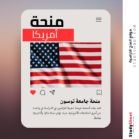 منحة جامعة توسون