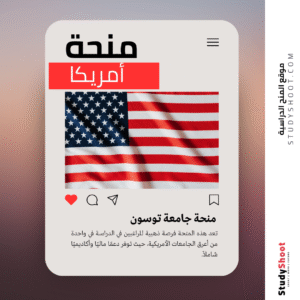 منحة جامعة توسون