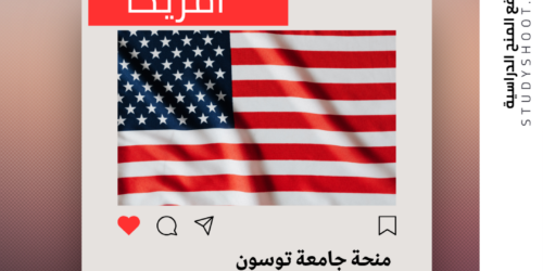 منحة جامعة توسون