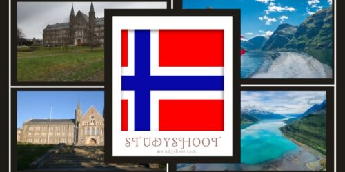 الجامعة النرويجية الداخلية للعلوم التطبيقية