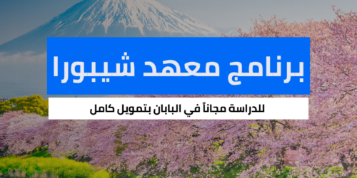 برنامج معهد شيبورا