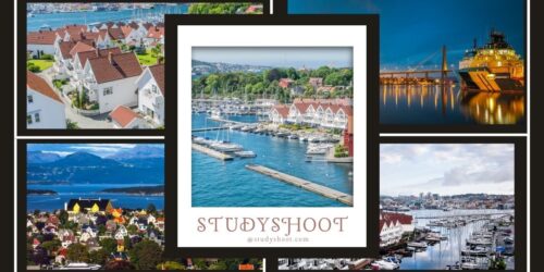 جامعة ستافانغر