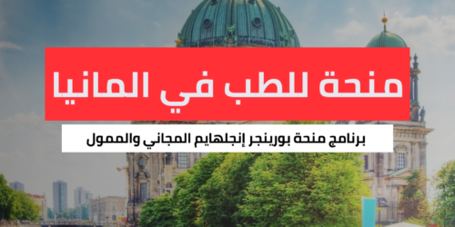 منحة بورينجر إنجلهايم للطب