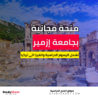 منحة جامعة إزمير