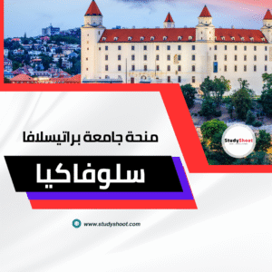 منحة جامعة التكنولوجيا براتيسلافا