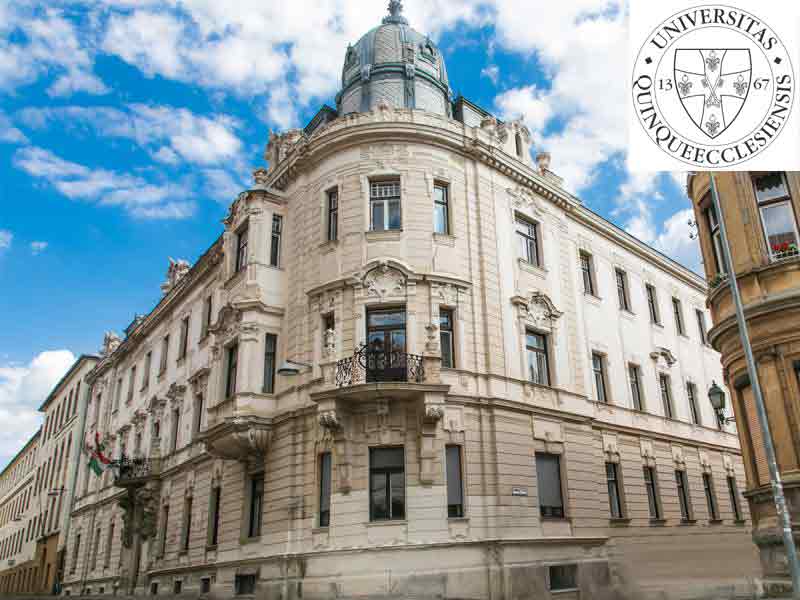 منحة جامعة بيتس