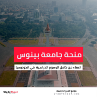 منحة جامعة بينوس