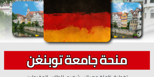 منحة جامعة توبنغن