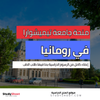 منحة جامعة تيميشوارا