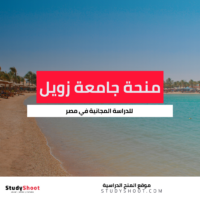 منحة جامعة زويل للعلوم والتكنولوجيا