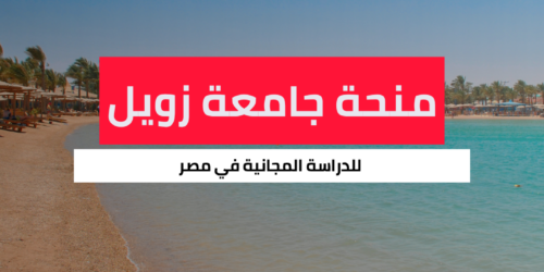 منحة جامعة زويل للعلوم والتكنولوجيا