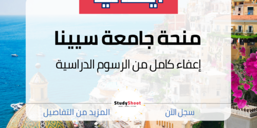 منحة جامعة سيينا
