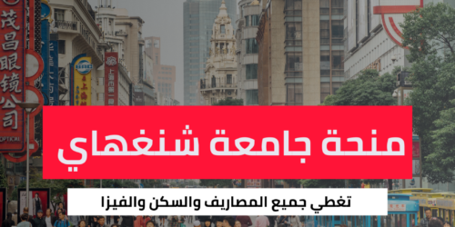 منحة جامعة شنغهاي