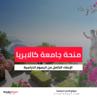 منحة جامعة كالابريا