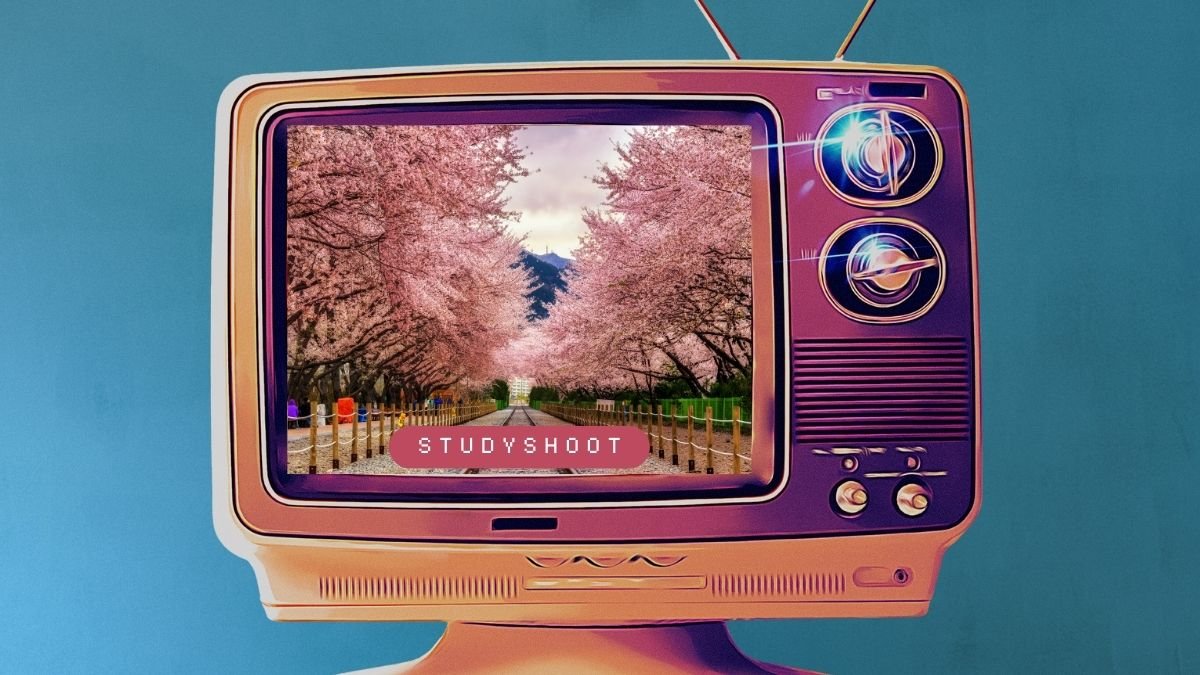 منحة جامعة كيونغبوك STUDYSHOOT