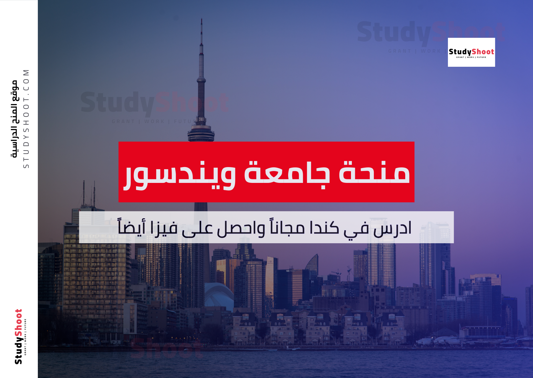 منحة جامعة ويندسور