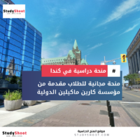 منحة كارين ماكيلين الدولية