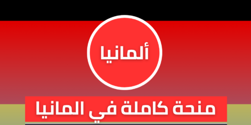 منحة هانز بوكلر