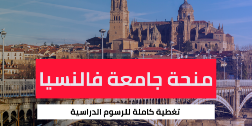 منحة جامعة فالنسيا