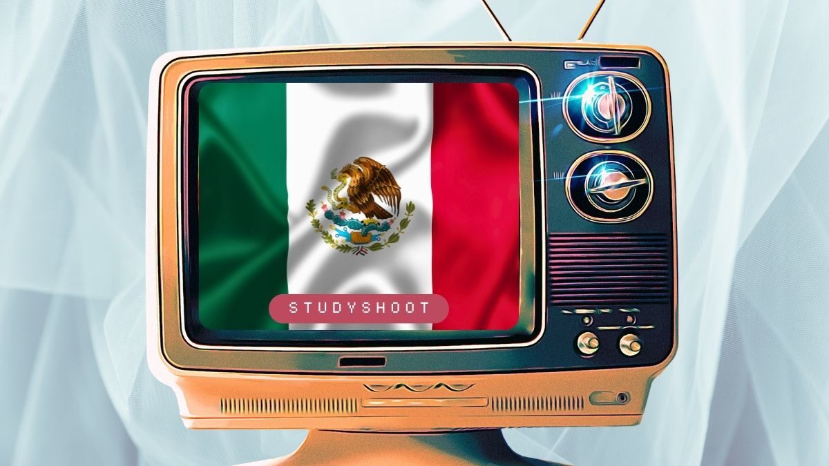 دراسة الهندسة في المكسيك