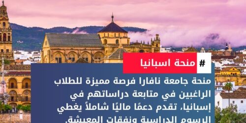 منحة جامعة نافارا