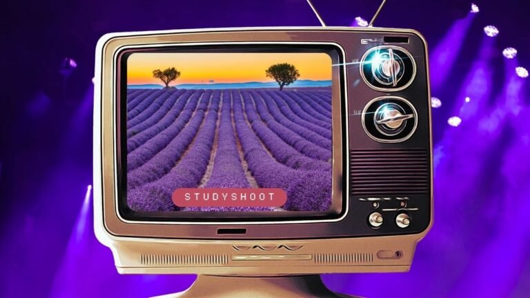 منحة جامعة أنجيه STUDYSHOOT