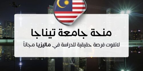 منحة جامعة تيناجا الوطنية