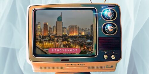 دراسة الطب البيطري في اندونيسيا