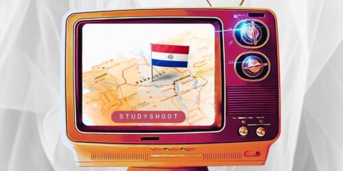 دراسة الطب البيطري في الباراغواي