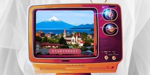 دراسة الطب البيطري في تشيلي