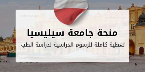 منحة جامعة سيليسيا الطبية