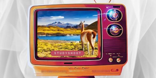 دراسة الصيدلة في تشيلي