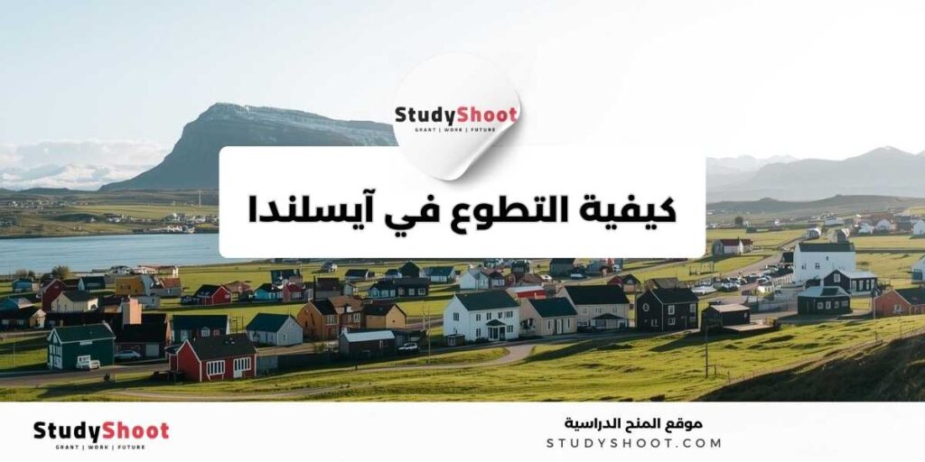 ستودي شووت التطوع في آيسلندا