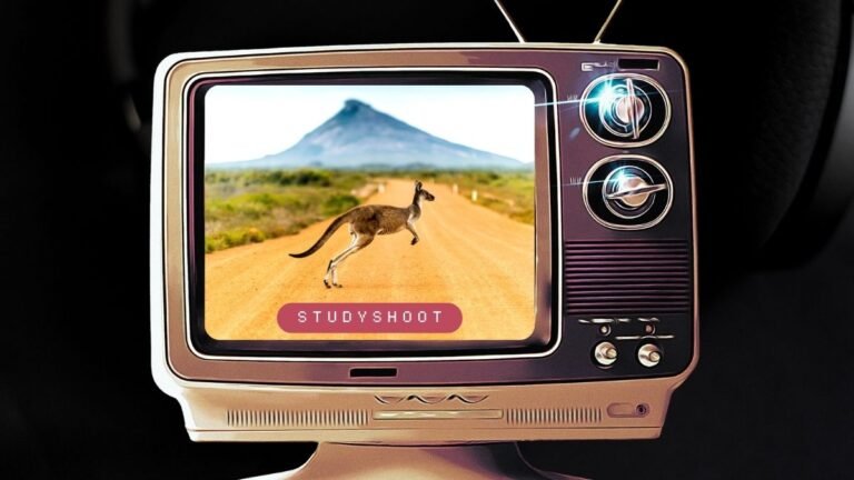 منحة جامعة بيلبورا STUDYSHOOT