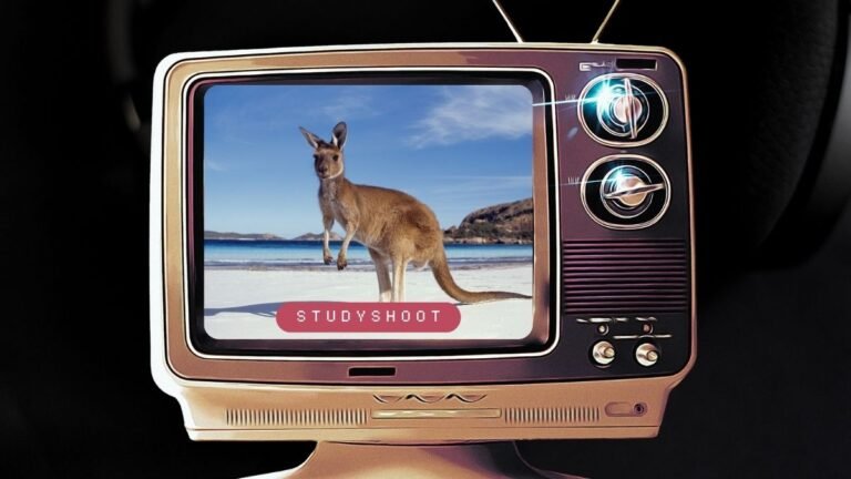 منحة جامعة أفونديل STUDYSHOOT