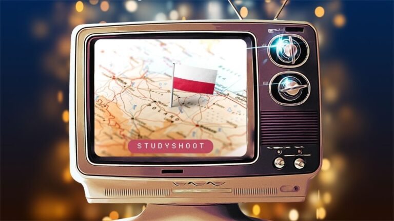 منحة جامعة شتشيتسين STUDYSHOOT